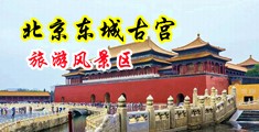 www.污污污骚逼女扣逼操逼中国北京-东城古宫旅游风景区